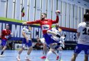 Liga Zimbrilor / Statistici ale primei runde și echipa etapei